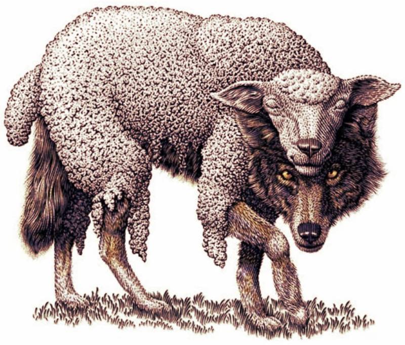 wolf in sheeps clothing