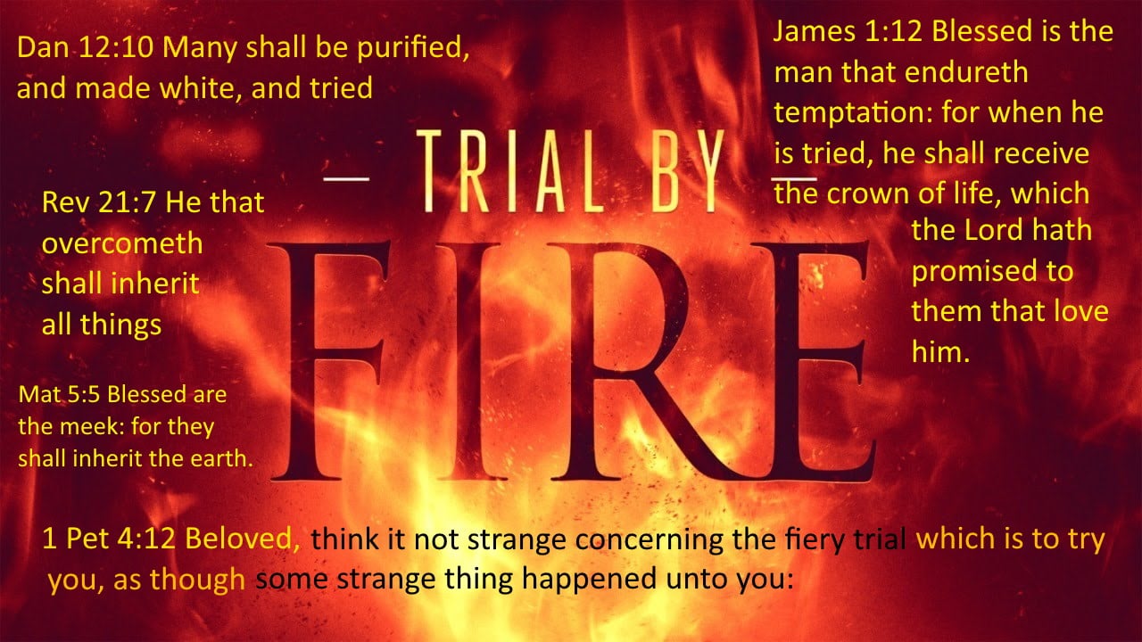 Trial by Fire - eNewsletter